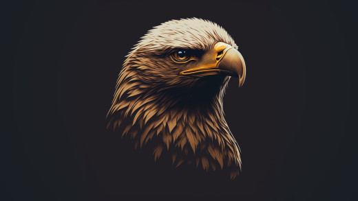 1651398 (a): :3840x2160
